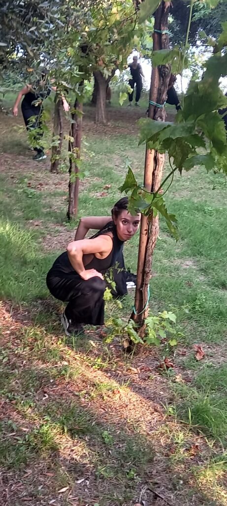 La Giostra Dell’Arte La Giostra Dell’Arte